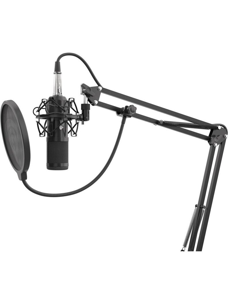 Mikrofonas Genesis Radium 300 XLR, juoda 2 Mikrofonas Genesis Radium 300 XLR, juoda 2