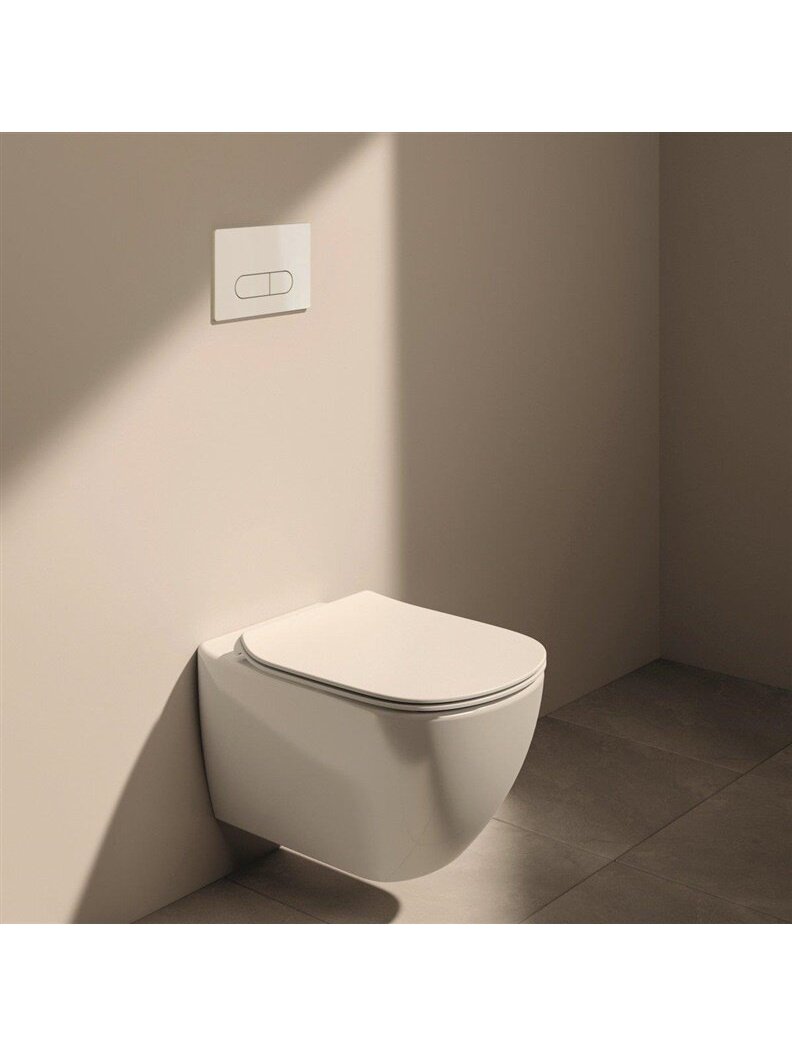 OLEAS M1 F/PLATE DUAL WHITE IS 2 OLEAS M1 F/PLATE DUAL WHITE IS 2