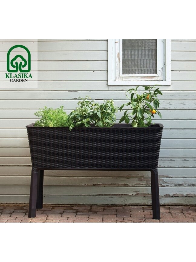 Pakeltas vazonas EASY GROW - Ruda 2