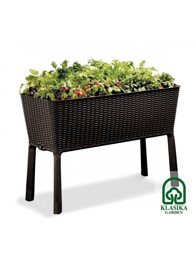 Pakeltas vazonas EASY GROW - Ruda