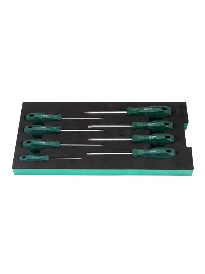 ⬡ Padėklas. Atsuktuvų rinkinys 8 vnt. (TORX) (ST09917G, SATA)