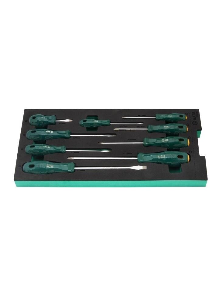 ⬡ Padėklas. Atsuktuvų rinkinys 9 vnt. (pl./PH) (ST09916G, SATA)