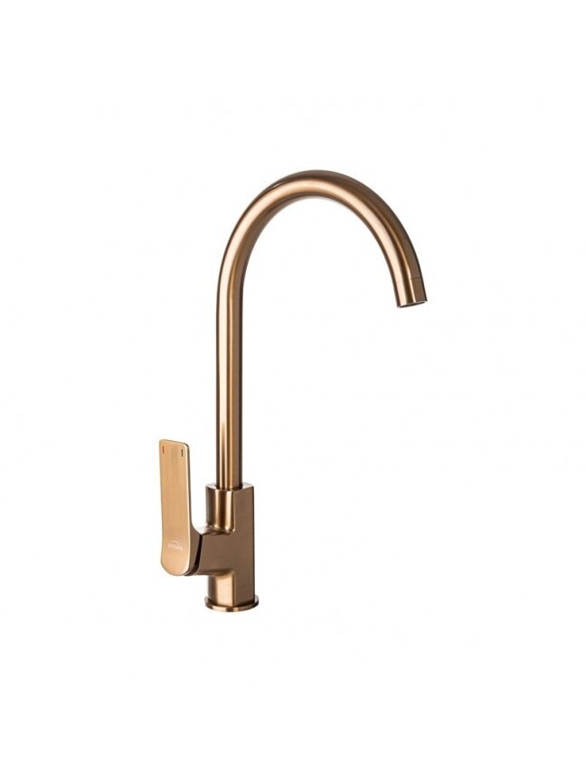 Plautuvės maišytuvas Neri BZ-01-014-L vario sp.