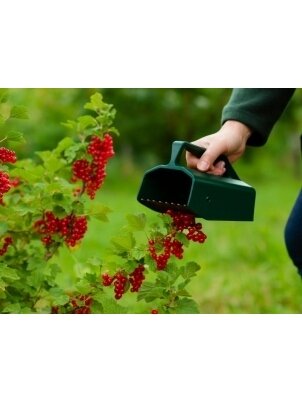 Prietaisas uogų rinkimui BerryMaster 2