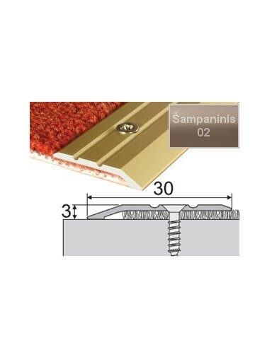 Profilis Effector A01, su nuolydžiu | šampaninis 270 cm 30x3 mm