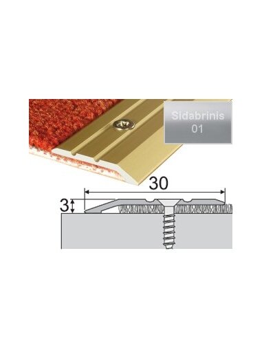 Profilis Effector A01, su nuolydžiu | sidabrinis 270 cm 30x3 mm