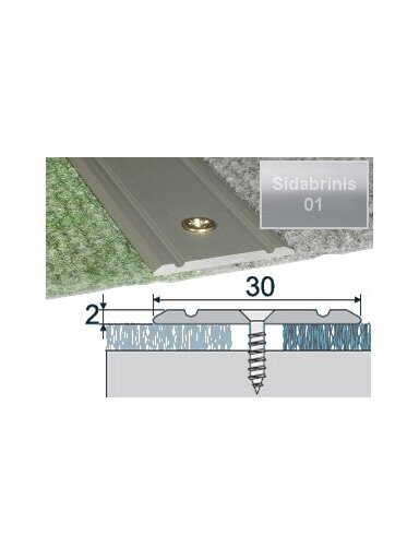 Profilis Effector A02 sujungimo | sidabrinis 270 cm 30x2 mm