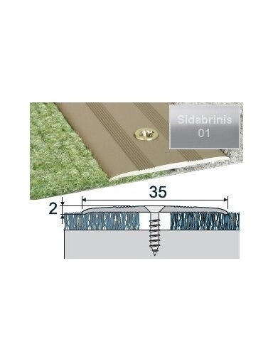 Profilis Effector A08 sujungimo | sidabrinis 180 cm 35x2 mm