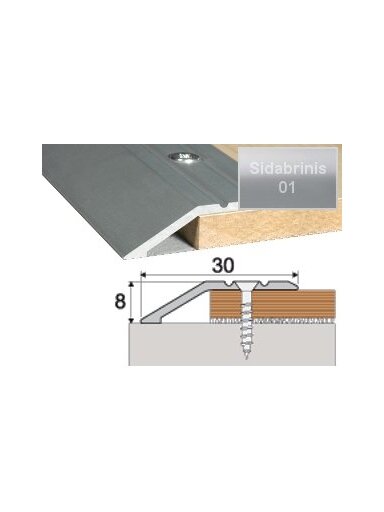 Profilis Effector A11, su nuolydžiu | sidabrinis 180 cm 39x10 mm