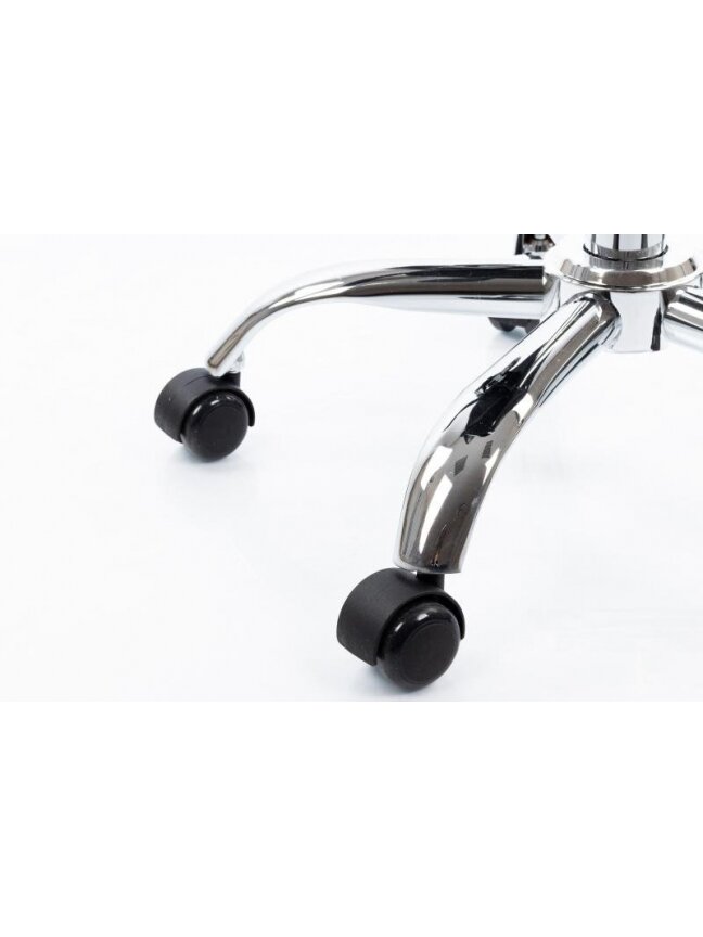 Meistro kėdė RESTPRO® Expert 3 black 4