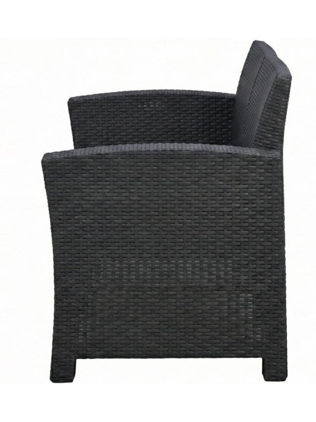 Dvivietė rotango sodo sofa 120 cm, pilka 3 Dvivietė rotango sodo sofa 120 cm, pilka 3