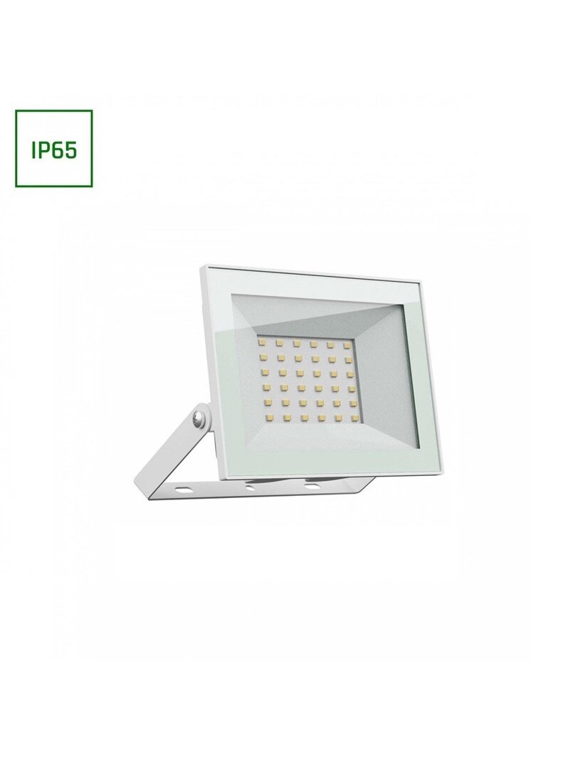 PROŽEKTORIUS LAUKO LED 30W 230V NW IP65 BALTAS 1