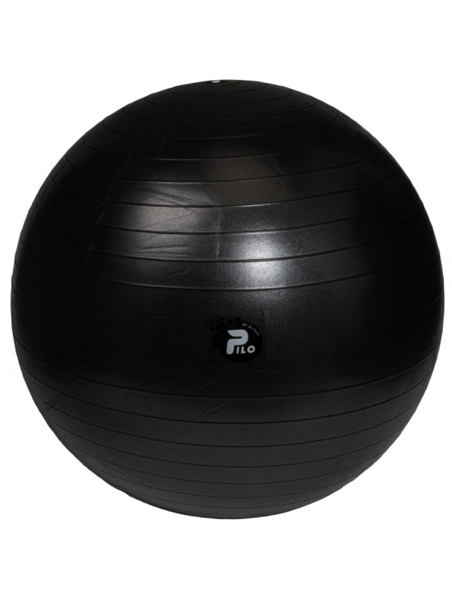 Reabilitacinis Kamuolys 75cm ABS Juodas Reabilitacinis Kamuolys 75cm ABS Juodas