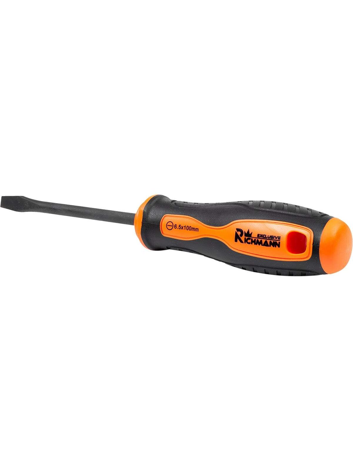 Richmann Plien. atsuktuvai „RICHMANN" S2, 6 vnt. 4 Richmann Plien. atsuktuvai „RICHMANN" S2, 6 vnt. 4