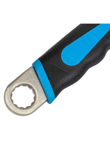 Richmann Regul. raktas „RICHMANN" 10, 250 mm