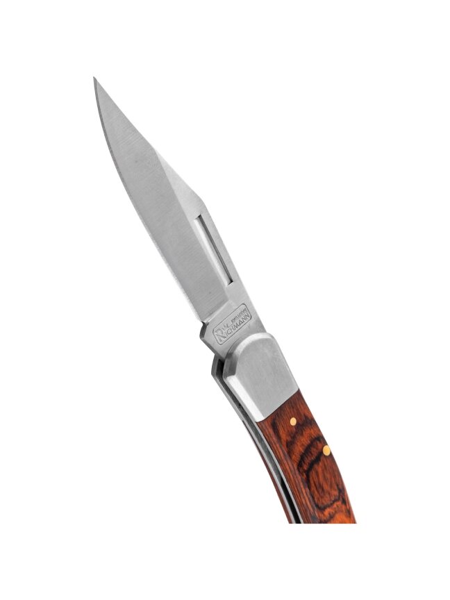 Richmann Atlenkiamas peilis 195 mm 3