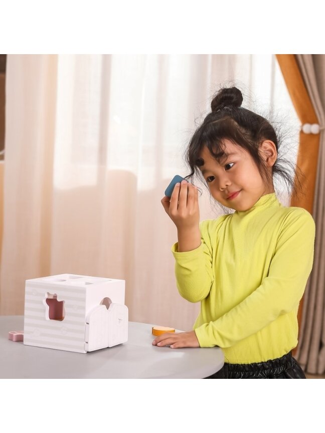 Rūšiavimo kaladėlės VIGA PolarB Montessori 4