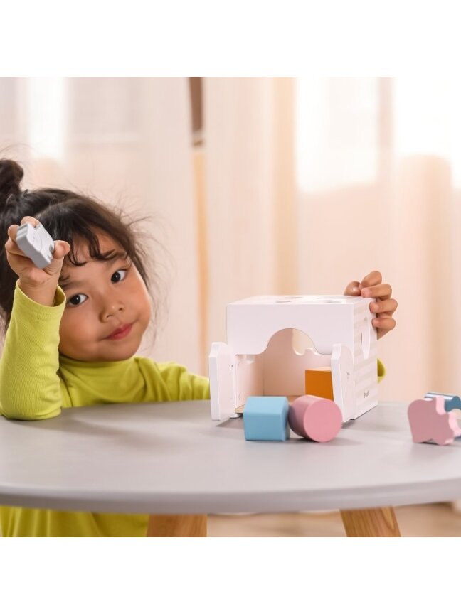 Rūšiavimo kaladėlės VIGA PolarB Montessori 5