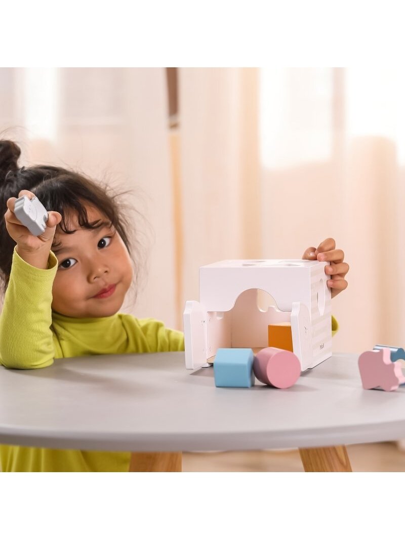 Rūšiavimo kaladėlės VIGA PolarB Montessori 5