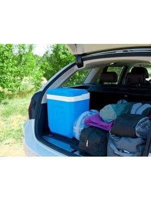 Šaltkrepšiai Icetime 30 L Plus 2