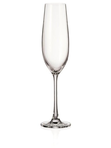 Šampano taurės BOHEMIA ROYAL CRYSTAL VERONA, 260 ml, 6 vnt.