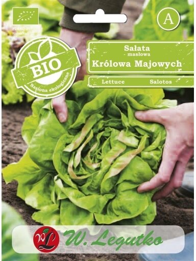 Sėjamųjų salotų KROLOWA MAJOWYCH sėklos
