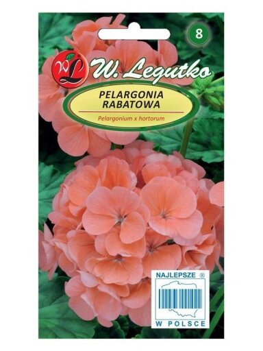 Sėklos gėlių pelargonijos kompaktinės