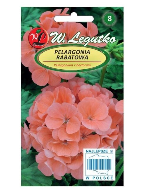 Sėklos gėlių pelargonijos kompaktinės