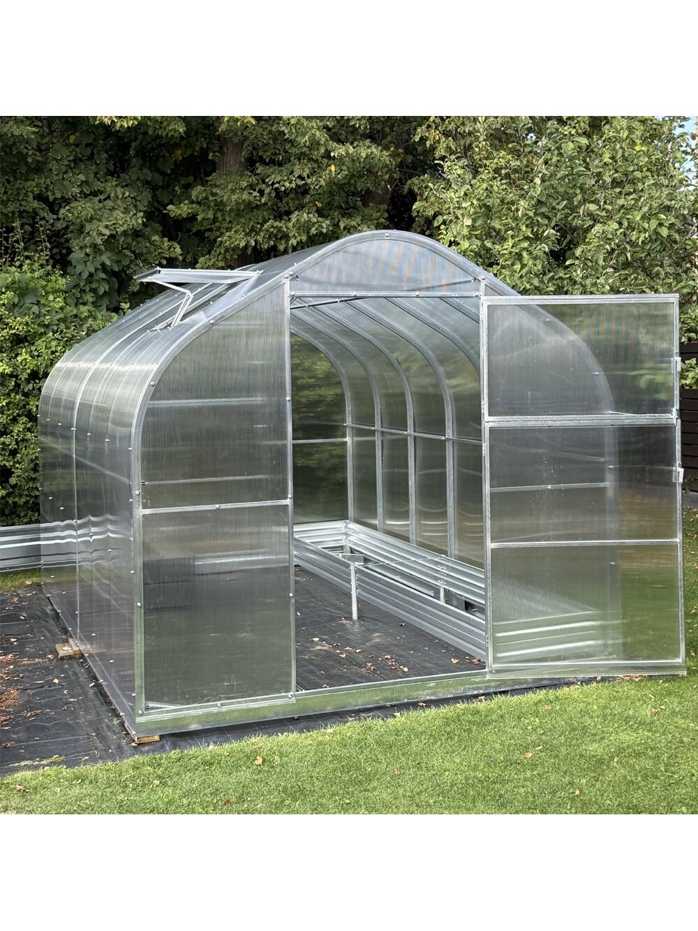 SH FAMILY 6m. 6mm. 2 SH FAMILY 6m. 6mm. 2