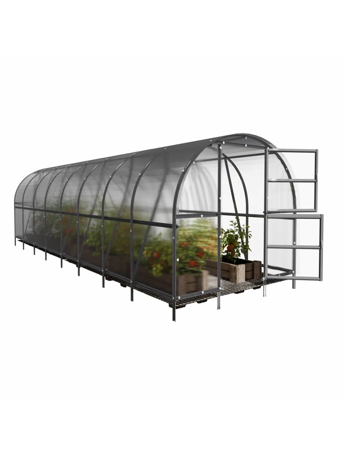 Šiltnamis Baltic LT - 6 mm storio kanalinis polikarbonatas - 3 x 8 m (24 m²)