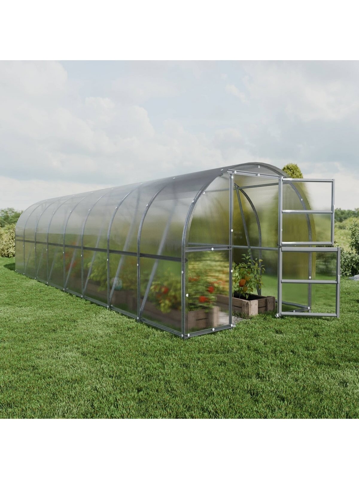 Šiltnamis Baltic LT - 6 mm storio kanalinis polikarbonatas - 3 x 6 m (18 m²) 6