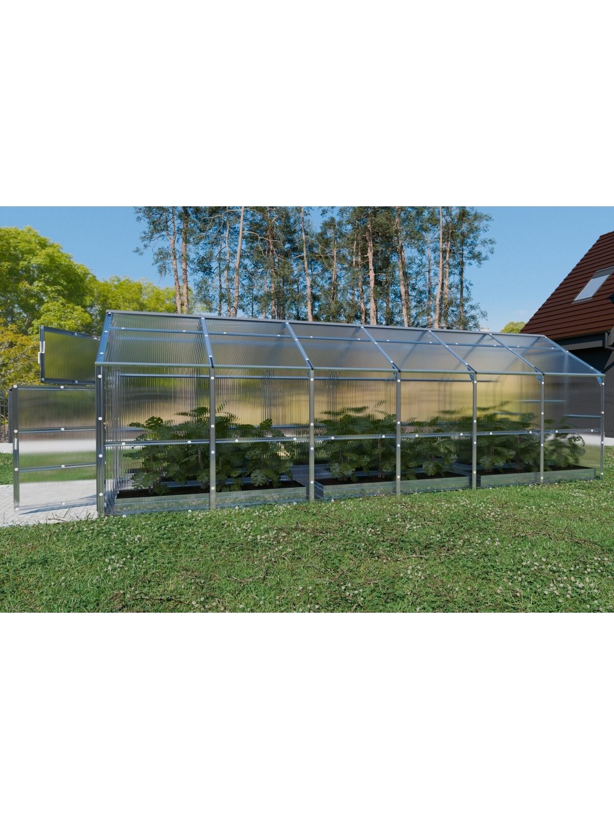 Šiltnamis KLASIKA Bernard - 4 mm storio kanalinis polikarbonatas - 2,35 x 6 m (14,1 m²) 4