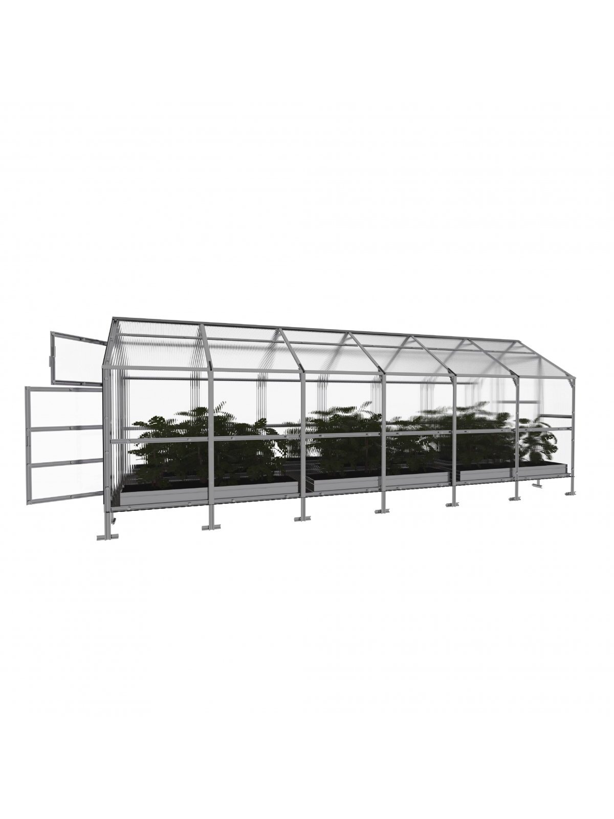 Šiltnamis KLASIKA Bernard - 4 mm storio kanalinis polikarbonatas - 2,35 x 6 m (14,1 m²) 1