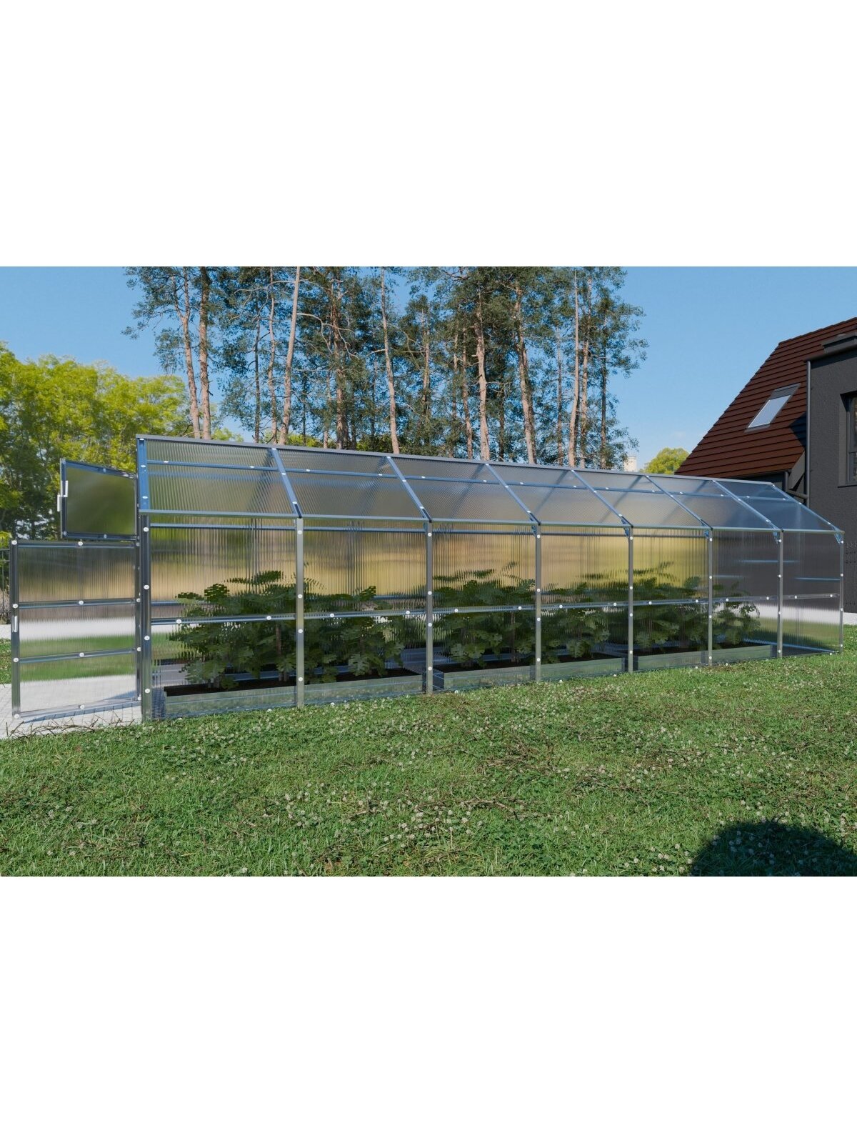 Šiltnamis KLASIKA Bernard - 6 mm storio kanalinis polikarbonatas - 2,35 x 7 m (16,45 m²) 4