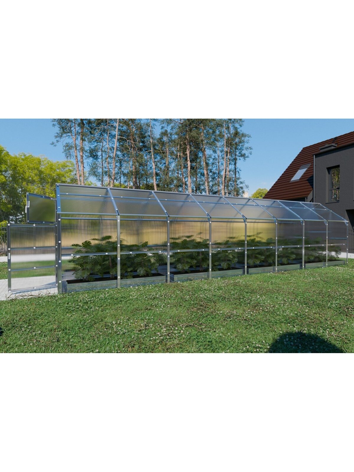 Šiltnamis KLASIKA Bernard - 6 mm storio kanalinis polikarbonatas - 2,35 x 8 m (18,8 m²) 5