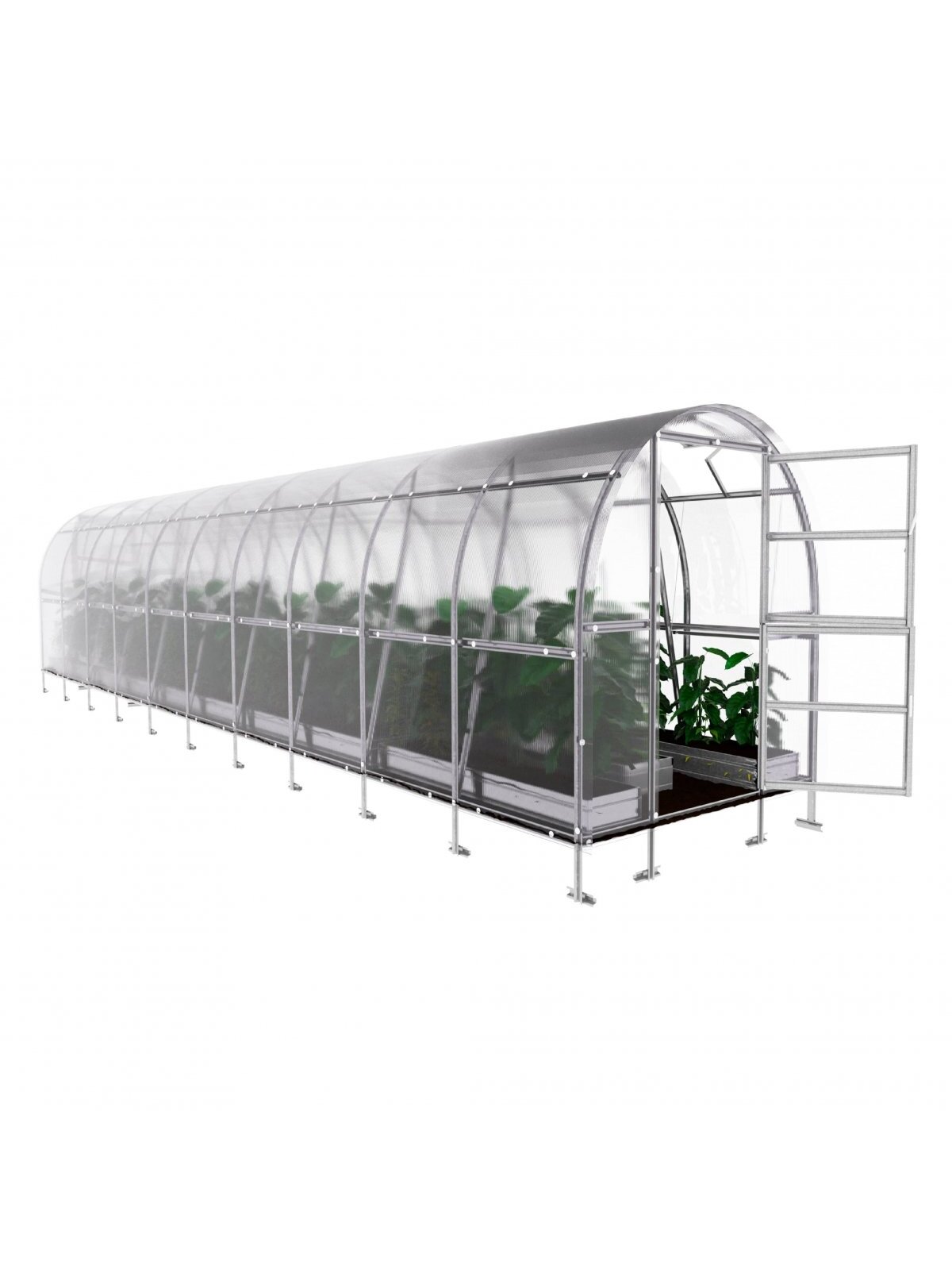 Šiltnamis KLASIKA Slim - 6 mm storio kanalinis polikarbonatas - 2 x 10 m (20 m²)