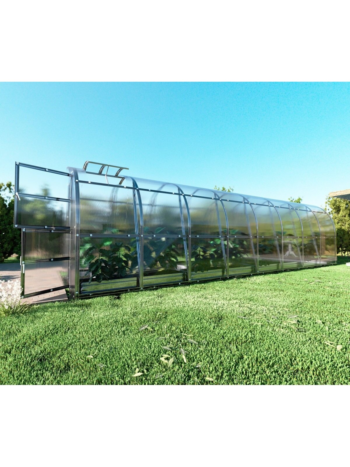 Šiltnamis KLASIKA Slim - 6 mm storio kanalinis polikarbonatas - 2 x 8 m (16 m²) 5