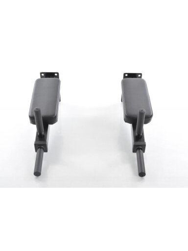 Sieninis pilvo/nugaros treniruoklis DY-DR-1064
