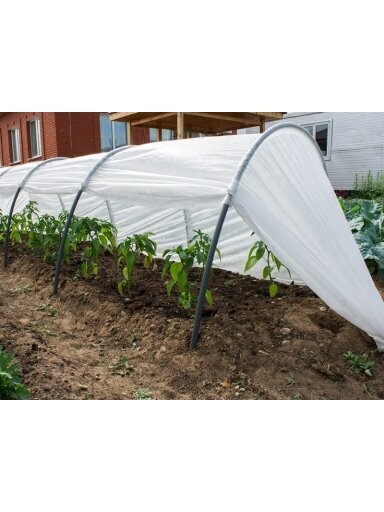 Šiltlysvė Fazenda 4 Šiltlysvė Fazenda 4
