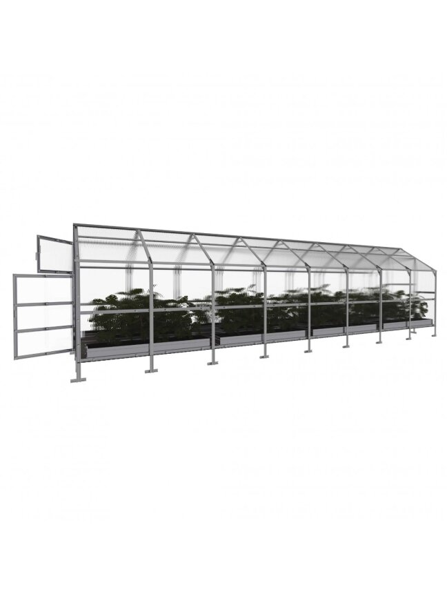 Šiltnamis KLASIKA Bernard - 4 mm storio kanalinis polikarbonatas - 2,35 x 8 m (18,8 m²) 2