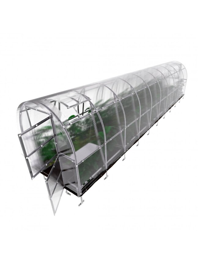 Šiltnamis KLASIKA Slim - 4 mm storio kanalinis polikarbonatas - 2 x 12 m (24 m²) 1