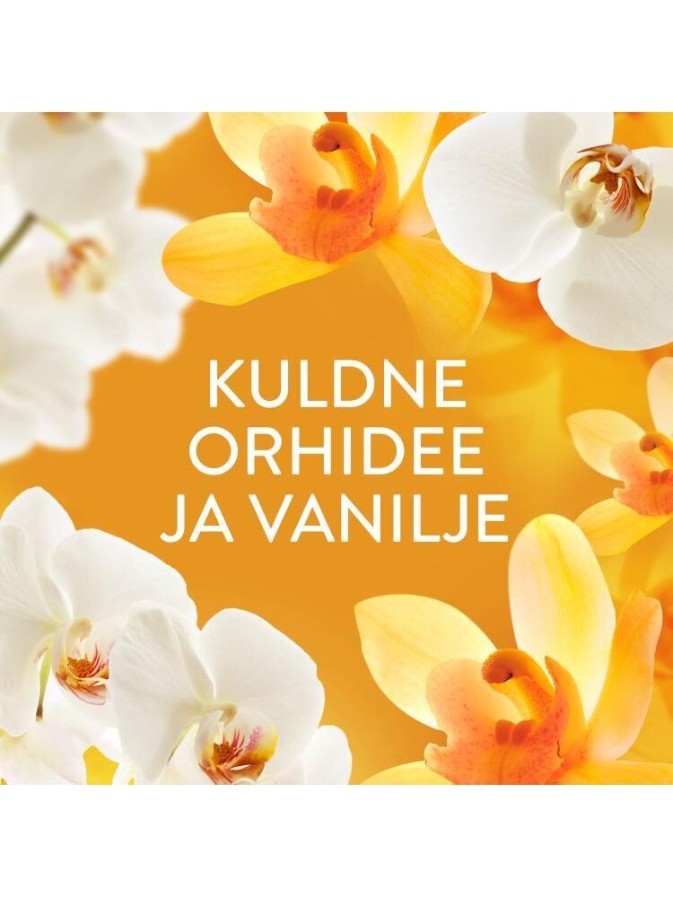Skalbinių minkštiklis Lenor Gold Orchid, skystas, 2.65 l 2 Skalbinių minkštiklis Lenor Gold Orchid, skystas, 2.65 l 2