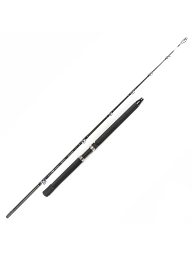 Spiningas SURF MASTER Corrida IM-6 1,65m 300-500g