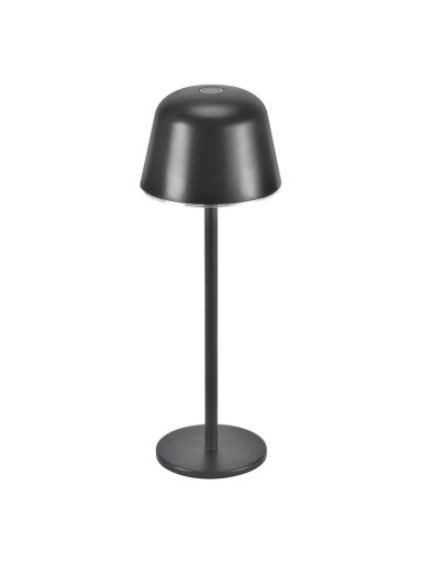 Stalinis šviestuvas 4099854185366, LED,nešiojamas,2.50W IP54