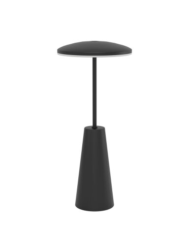 Stalinis šviestuvas Eglo 900925, LED, 2.8W