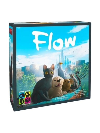 Stalo žaidimas Brain Games Flow BRG#FLOW