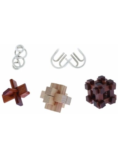 Stalo žaidimas Brain Games Great Minds Set of 5