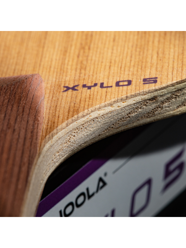 Stalo Teniso Raketės Pagrindas JOOLA Xylo 5, ST 4