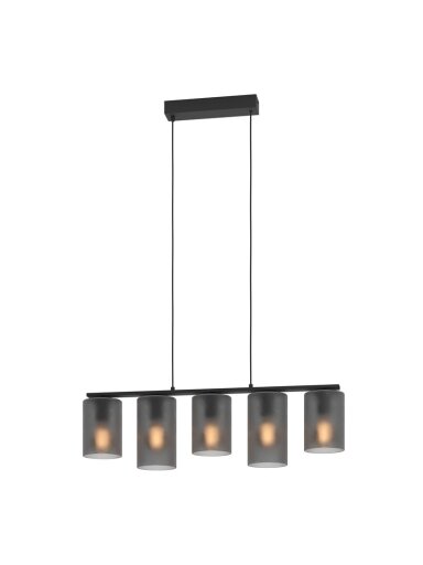 Šviestuvas kabinamas Eglo 901163, 200 W, E27
