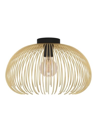 Šviestuvas lubinis Eglo VENEZUELA, 40 W, E27, 900165